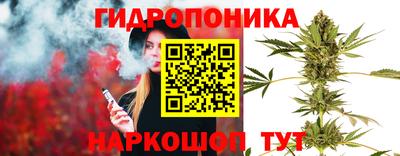 таблы Новокубанск