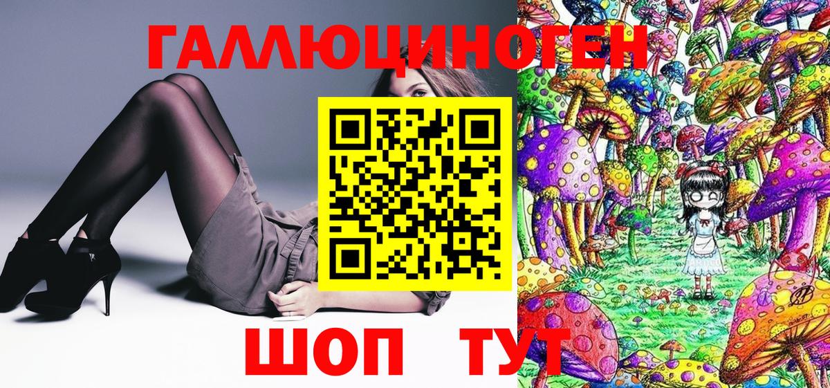 Галлюциногенные грибы Psilocybe Чебоксары