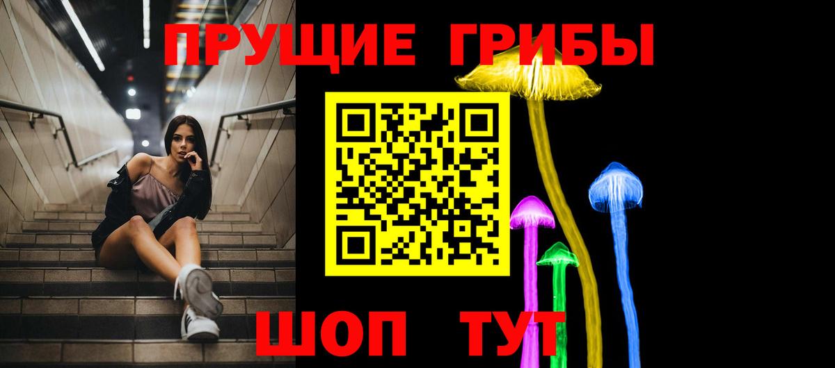 Псилоцибиновые грибы GOLDEN TEACHER  Вход с VPN  Чебоксары  купить наркоту  Псилоцибиновые грибы GOLDEN TEACHER 